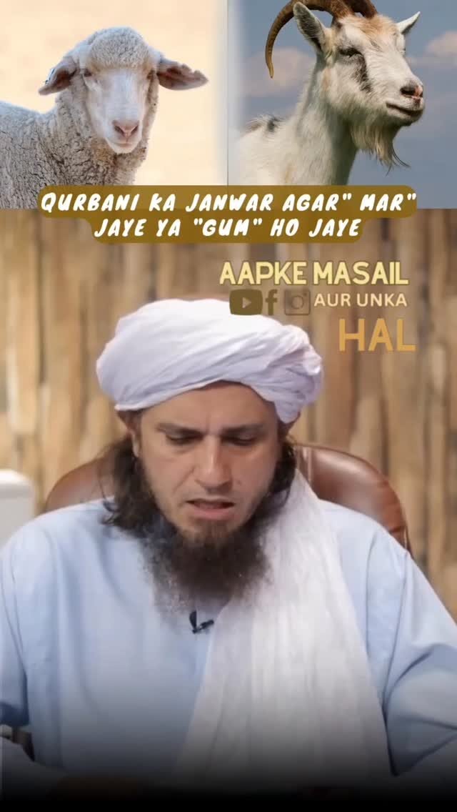 Instagram post from aapkemasailaurunkahal. This post is in position 4.